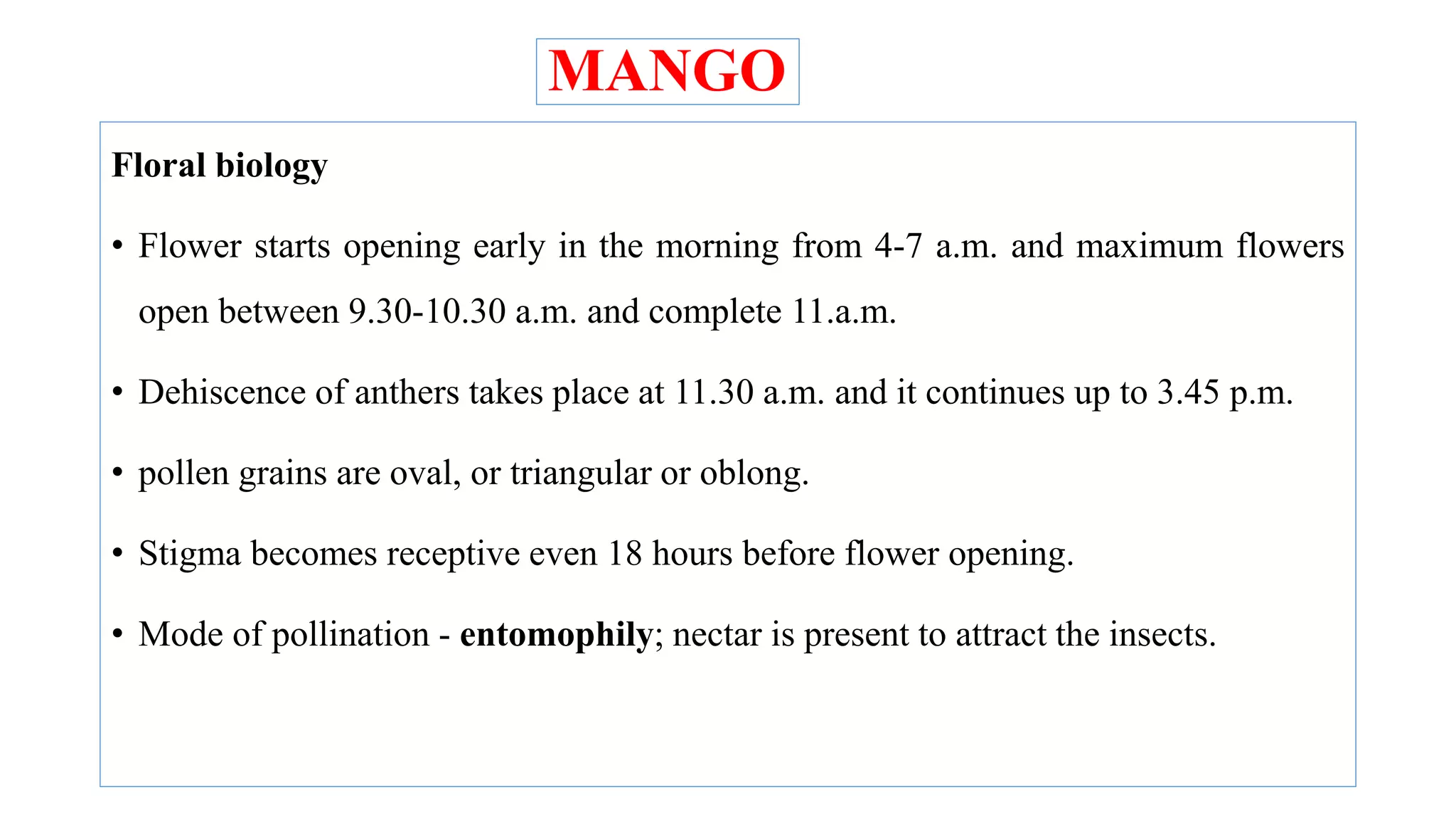 Mango Reproductive System Floral biology, modes of reproduction and pollination | PPTX