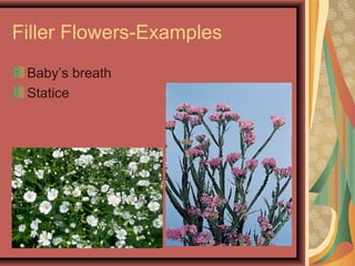 Filler Flowers-Examples
Baby’s breath
Statice
 