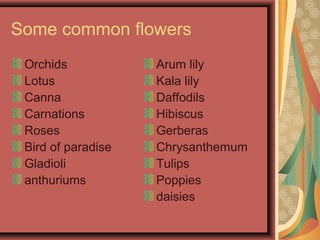 Some common flowers
Orchids
Lotus
Canna
Carnations
Roses
Bird of paradise
Gladioli
anthuriums
Arum lily
Kala lily
Daffodils
Hibiscus
Gerberas
Chrysanthemum
Tulips
Poppies
daisies
 