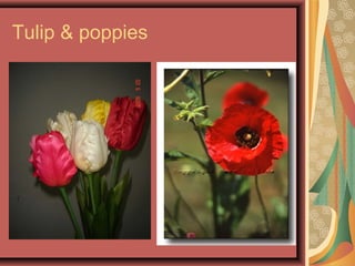 Tulip & poppies
 