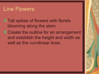 Line Flowers
Tall spikes of flowers with florets
blooming along the stem
Create the outline for an arrangement
and establish the height and width as
well as the curvilinear lines.
 
