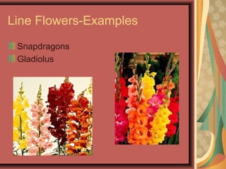 Line Flowers-Examples
Snapdragons
Gladiolus
 