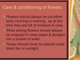 Care & conditioning of flowers
Flowers should always be cut either
early morning or evening , as at this
time they are full of moisture & crisp.
While storing flowers should always
be wrapped in news paper & plunged
into a bucket of water.
Flower should never be placed under
direct fan or sunlight.
 