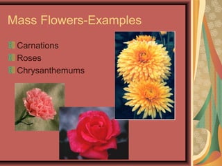 Mass Flowers-Examples
Carnations
Roses
Chrysanthemums
 