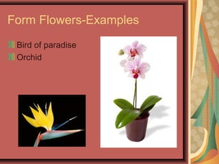 Form Flowers-Examples
Bird of paradise
Orchid
 