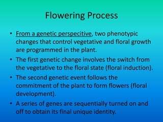Flowering Process
• From a genetic perspecitive, two phenotypic
changes that control vegetative and floral growth
are programmed in the plant.
• The first genetic change involves the switch from
the vegetative to the floral state (floral induction).
• The second genetic event follows the
commitment of the plant to form flowers (floral
development).
• A series of genes are sequentially turned on and
off to obtain its final unique identity.
 