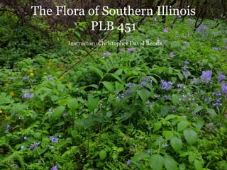 The Flora of Southern Illinois
PLB 451
Instructor: Christopher David Benda
 
