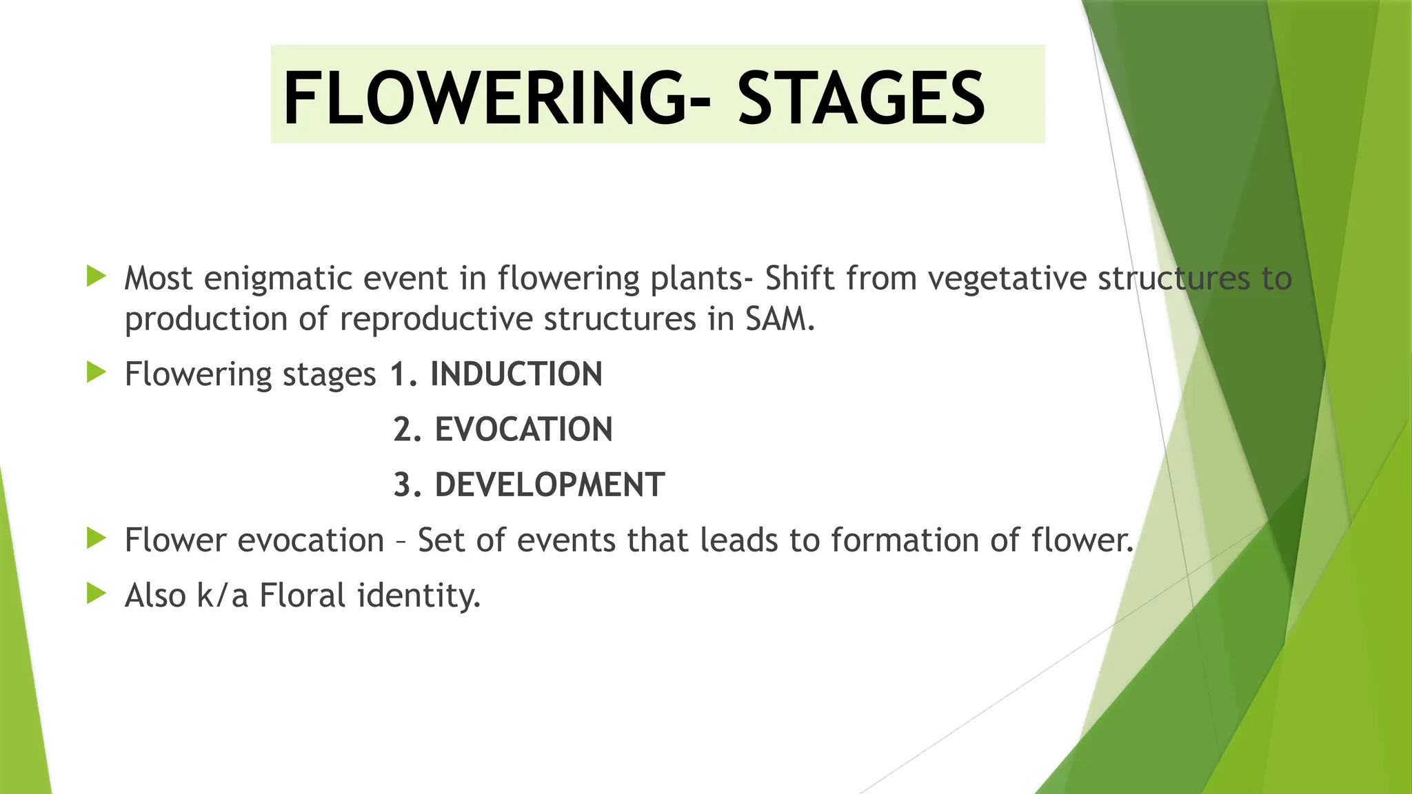 Floral evocation...........................pptx