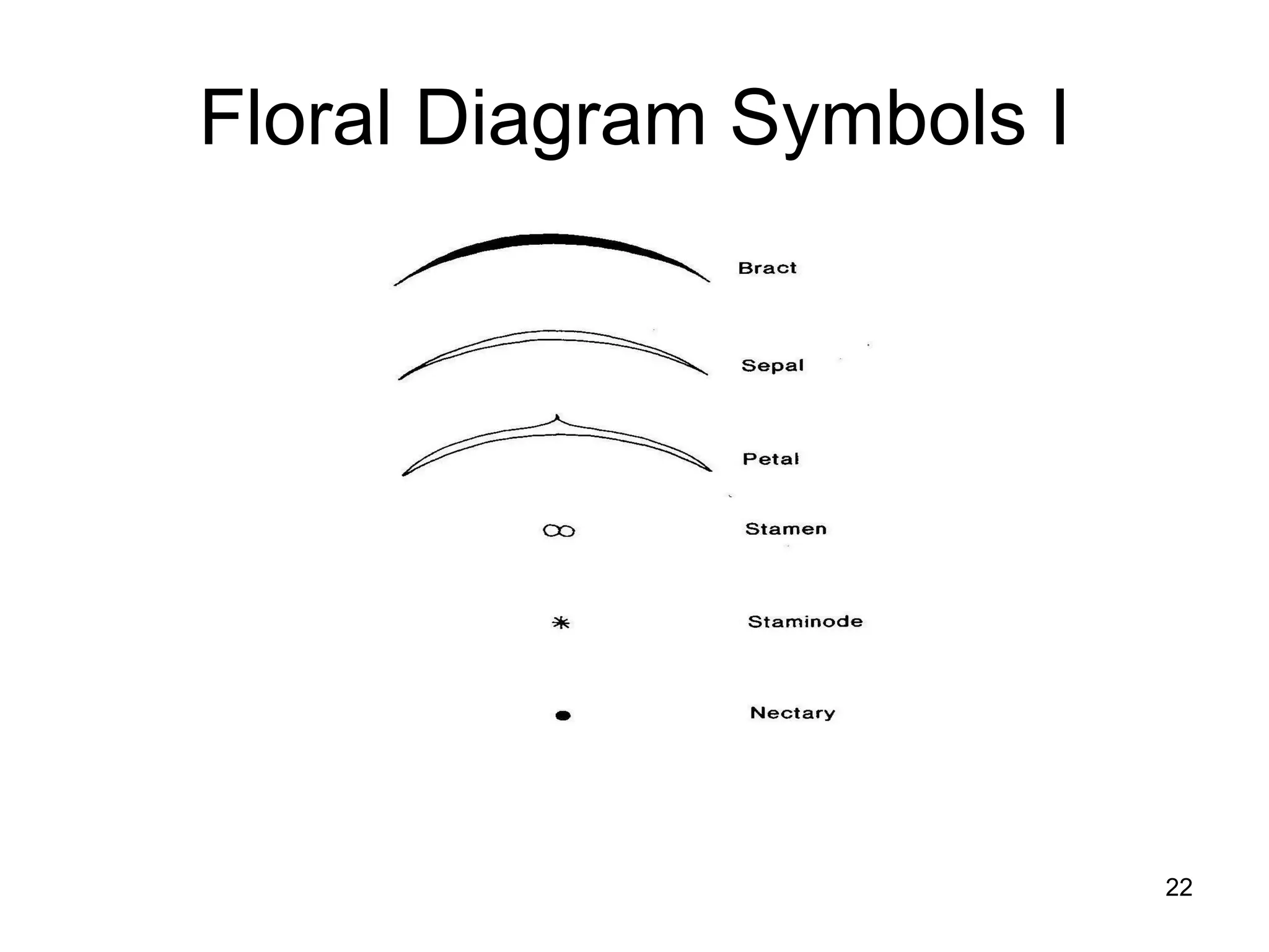 Floral Diagram Symbols I 