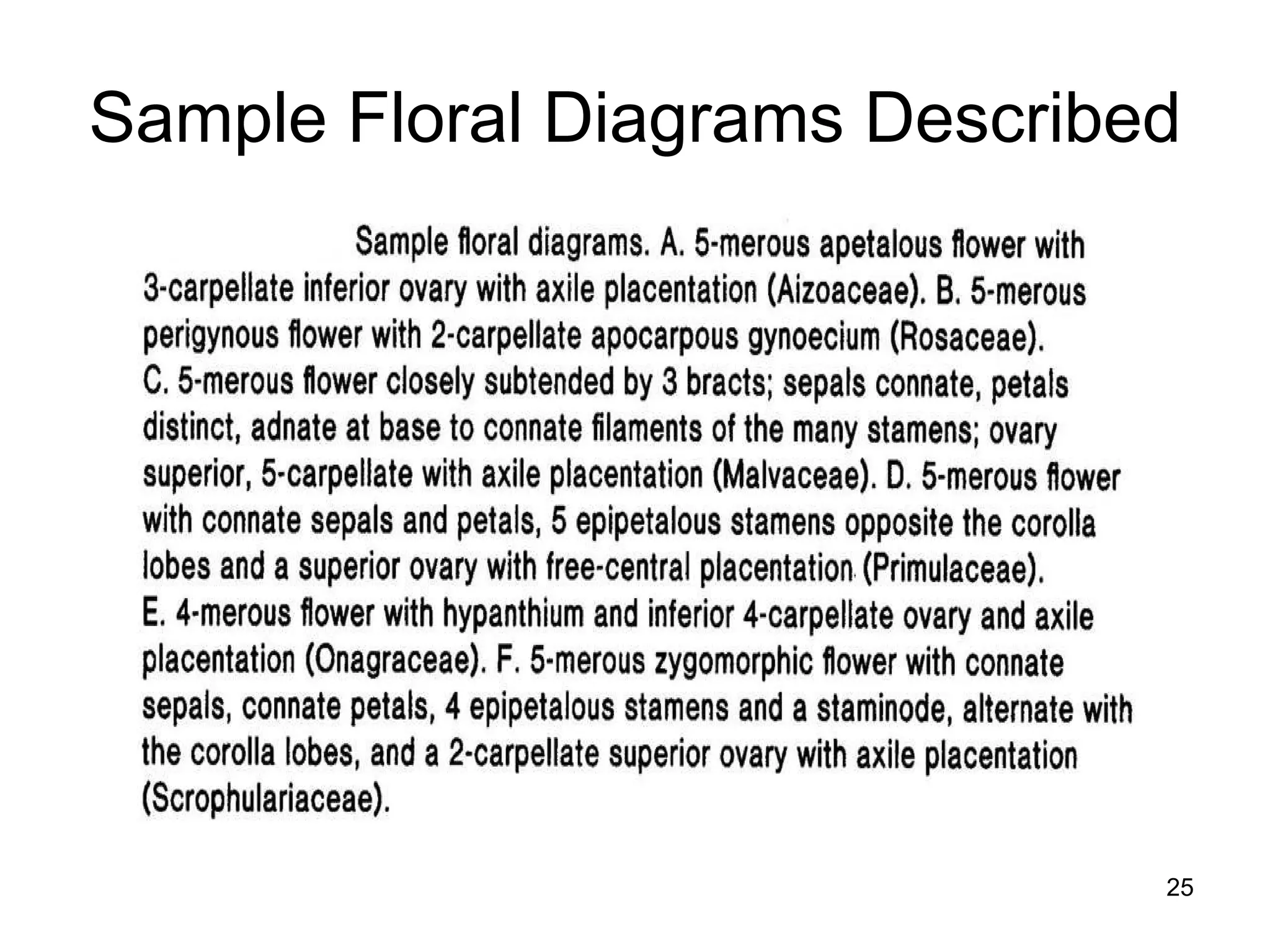 Sample Floral Diagrams Described 
