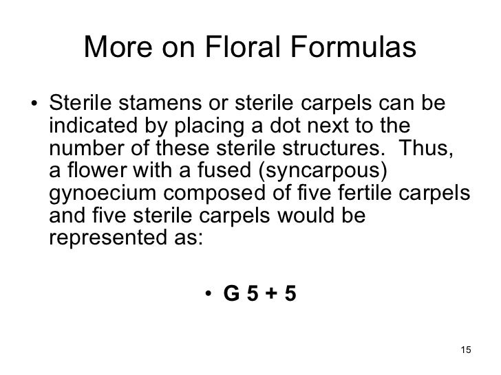 Floral formulas and diagrams