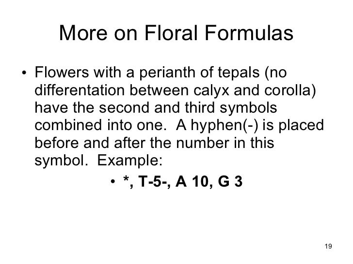 Floral formulas and diagrams