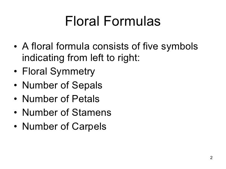 floral formulas and diagrams