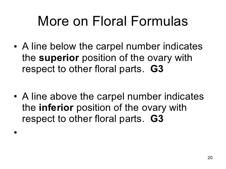 Floral formulas and diagrams