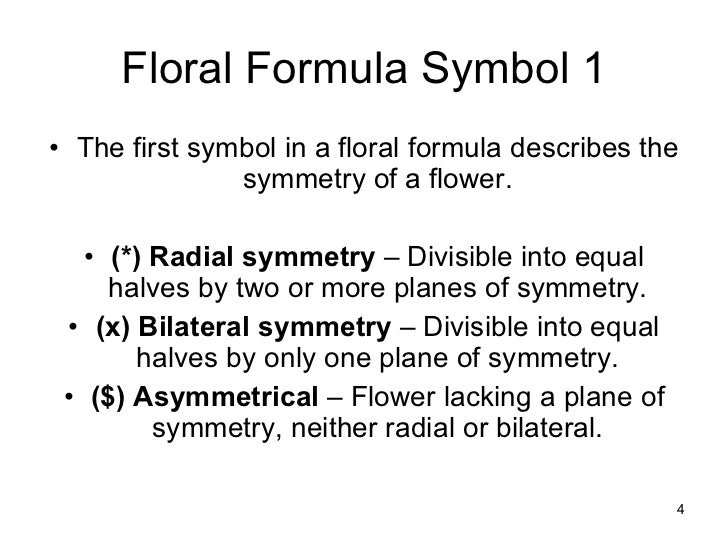 floral formulas and diagrams