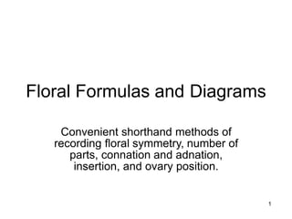 Floral Formulas and Diagrams
Convenient shorthand methods of
recording floral symmetry, number of
parts, connation and adnation,
insertion, and ovary position.
1
 