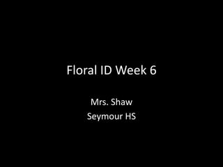 Floral ID Week 6
Mrs. Shaw
Seymour HS

 