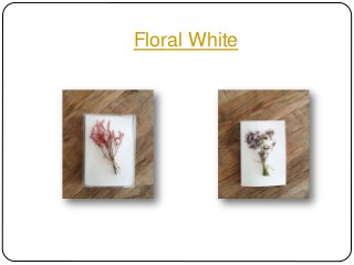 Floral White
 