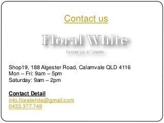 Contact us
Shop19, 188 Algester Road, Calamvale QLD 4116
Mon – Fri: 9am – 5pm
​​Saturday: 9am – 2pm
Contact Detail
info.floralwhite@gmail.com
0433.377.749
 