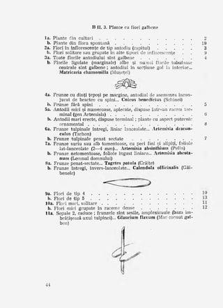 Flora medicinala a Romaniei vol. I | PDF
