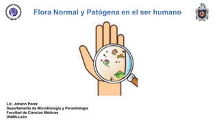 Flora Normal y Patógena en el ser humano
Lic. Johann Pérez
Departamento de Microbiología y Parasitología
Facultad de Ciencias Médicas
UNAN-León
 