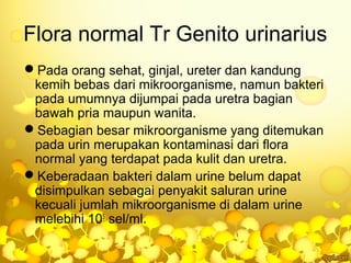 Flora normal Tr Genito urinarius
Pada orang sehat, ginjal, ureter dan kandung
kemih bebas dari mikroorganisme, namun bakteri
pada umumnya dijumpai pada uretra bagian
bawah pria maupun wanita.
Sebagian besar mikroorganisme yang ditemukan
pada urin merupakan kontaminasi dari flora
normal yang terdapat pada kulit dan uretra.
Keberadaan bakteri dalam urine belum dapat
disimpulkan sebagai penyakit saluran urine
kecuali jumlah mikroorganisme di dalam urine
melebihi 105
sel/ml.
 