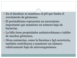  En el duodeno se mantiene el pH que limita el
crecimiento de gérmenes.
 El peristaltismo representa un mecanismo
importante que mantiene un número bajo de
bacterias.
 La bilis tiene propiedades antimicrobianas e inhibe
de muchos gérmenes.
 Otras sustancias, como la lisozima e IgA secretoria,
también contribuyen a mantener un número
relativamente bajo de microorganismos.
 