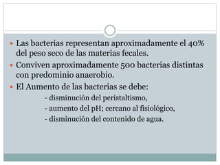 Las bacterias representan aproximadamente el 40%
del peso seco de las materias fecales.
 Conviven aproximadamente 500 bacterias distintas
con predominio anaerobio.
 El Aumento de las bacterias se debe:
- disminución del peristaltismo,
- aumento del pH; cercano al fisiológico,
- disminución del contenido de agua.
 