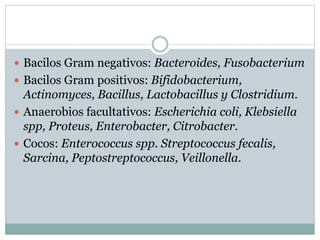  Bacilos Gram negativos: Bacteroides, Fusobacterium
 Bacilos Gram positivos: Bifidobacterium,
Actinomyces, Bacillus, Lactobacillus y Clostridium.
 Anaerobios facultativos: Escherichia coli, Klebsiella
spp, Proteus, Enterobacter, Citrobacter.
 Cocos: Enterococcus spp. Streptococcus fecalis,
Sarcina, Peptostreptococcus, Veillonella.
 