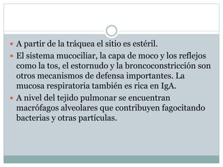  A partir de la tráquea el sitio es estéril.
 El sistema mucociliar, la capa de moco y los reflejos
como la tos, el estornudo y la broncoconstricción son
otros mecanismos de defensa importantes. La
mucosa respiratoria también es rica en IgA.
 A nivel del tejido pulmonar se encuentran
macrófagos alveolares que contribuyen fagocitando
bacterias y otras partículas.
 
