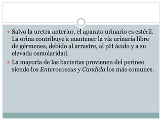  Salvo la uretra anterior, el aparato urinario es estéril.
La orina contribuye a mantener la vía urinaria libre
de gérmenes, debido al arrastre, al pH ácido y a su
elevada osmolaridad.
 La mayoría de las bacterias provienen del perineo
siendo los Enterococcus y Candida los más comunes.
 