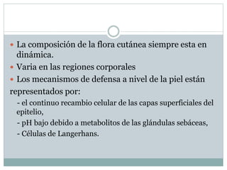  La composición de la flora cutánea siempre esta en
dinámica.
 Varia en las regiones corporales
 Los mecanismos de defensa a nivel de la piel están
representados por:
- el continuo recambio celular de las capas superficiales del
epitelio,
- pH bajo debido a metabolitos de las glándulas sebáceas,
- Células de Langerhans.
 