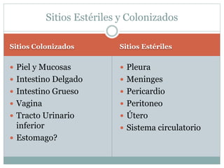 Sitios Colonizados Sitios Estériles
 Piel y Mucosas
 Intestino Delgado
 Intestino Grueso
 Vagina
 Tracto Urinario
inferior
 Estomago?
 Pleura
 Meninges
 Pericardio
 Peritoneo
 Útero
 Sistema circulatorio
Sitios Estériles y Colonizados
 