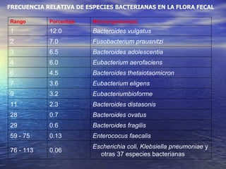 FRECUENCIA RELATIVA DE ESPECIES BACTERIANAS EN LA FLORA FECAL

Rango       Porcentaje   Microorganismo(s)
1           12.0         Bacteroides vulgatus
2           7.0          Fusobacterium prausnitzi
3           6.5          Bacteroides adolescentia
4           6.0          Eubacterium aerofaciens
6           4.5          Bacteroides thetaiotaomicron
7           3.6          Eubacterium eligens
9           3.2          Eubacteriumbioforme
11          2.3          Bacteroides distasonis
28          0.7          Bacteroides ovatus
29          0.6          Bacteroides fragilis
59 - 75     0.13         Enterococus faecalis
                         Escherichia coli, Klebsiella pneumoniae y
76 - 113    0.06
                           otras 37 especies bacterianas
 