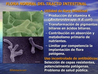 FLORA NORMAL DEL TRACTO INTESTINAL
                   • Utilidad de flora intestinal:
                        – Producción de vitamina K
                          (Bacteroides spp. Y E. coli)
                        – Transformación de pigmentos
                          biliares en ácidos biliares.
                        – Contribución en absorción y
                          metabolismo primario de
                          nutrientes.
                        – Limitar por competencia la
                          implantación de flora
                          patógena.
                   •   Uso incontrolado de antibióticos:
                       Selección de cepas resistentes,
                       potencialmente patógenas.
 Bifidobacterium       Problema de salud pública.
 