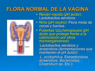 FLORA NORMAL DE LA VAGINA
           Recién nacida (pH ácido):
            Lactobacilos aerobios.
           Niña (pH neutro): Flora mixta de
            cocos y bacilos.
           Pubertad hasta menopausia (pH
            ácido que protege frente a la
            colonización por otros
            microorganismos):
            Lactobacilos aerobios y
            anaerobios (fermentaciones que
            mantienen el pH ácido):
            L. acidophilus, Estreptococos
            anaerobios, Bacteroides,
            Clostridium sp. Etc.).
 
