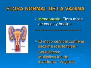 FLORA NORMAL DE LA VAGINA
          Menopausia: Flora mixta
            de cocos y bacilos.
         ----------------------------------

          El moco cervical contiene
           lisozima (bactericida)
           Antibióticos:
           Multiplicación de
           levaduras - Vaginitis
 
