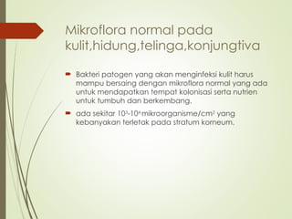 Mikroflora normal pada
kulit,hidung,telinga,konjungtiva
 Bakteri patogen yang akan menginfeksi kulit harus
mampu bersaing dengan mikroflora normal yang ada
untuk mendapatkan tempat kolonisasi serta nutrien
untuk tumbuh dan berkembang.
 ada sekitar 103
-104
mikroorganisme/cm2
yang
kebanyakan terletak pada stratum korneum.
 