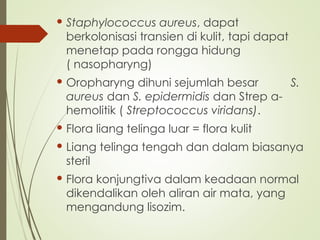  Staphylococcus aureus, dapat
berkolonisasi transien di kulit, tapi dapat
menetap pada rongga hidung
( nasopharyng)
 Oropharyng dihuni sejumlah besar S.
aureus dan S. epidermidis dan Strep α-
hemolitik ( Streptococcus viridans).
 Flora liang telinga luar = flora kulit
 Liang telinga tengah dan dalam biasanya
steril
 Flora konjungtiva dalam keadaan normal
dikendalikan oleh aliran air mata, yang
mengandung lisozim.
 