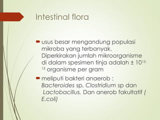 Intestinal flora
usus besar mengandung populasi
mikroba yang terbanyak.
Diperkirakan jumlah mikroorganisme
di dalam spesimen tinja adalah ± 1012-
13
organisme per gram
meliputi bakteri anaerob :
Bacteroides sp, Clostridium sp dan
Lactobacillus. Dan anerob fakultatif (
E.coli)
 