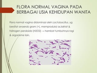 FLORA NORMAL VAGINA PADA
BERBAGAI USIA KEHIDUPAN WANITA
Flora normal vagina didominasi oleh Lactobacillus, yg
bersifat anaerob gram (+), memproduksi as.laktat &
hidrogen peroksida (H2O2) → hambat tumbuhnya ragi
& organisme lain.
 