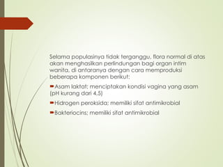 Selama populasinya tidak terganggu, flora normal di atas
akan menghasilkan perlindungan bagi organ intim
wanita, di antaranya dengan cara memproduksi
beberapa komponen berikut:
Asam laktat; menciptakan kondisi vagina yang asam
(pH kurang dari 4,5)
Hidrogen peroksida; memiliki sifat antimikrobial
Bakteriocins; memiliki sifat antimikrobial
 