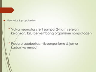 Neonatus & prapubertas:
Vulva neonatus steril sampai 24 jam setelah
kelahiran, lalu berkembang organisme nonpatogen
Pada prapubertas mikroorganisme & jamur
kadarnya rendah
 