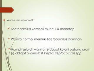  Wanita usia reproduktif:
Lactobacillus kembali muncul & menetap
Wanita normal memiliki Lactobacillus dominan
Hampir seluruh wanita terdapat koloni batang gram
(-) obligat anaerob & Peptostreptococcus spp
 