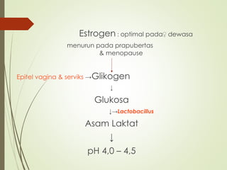 Estrogen : optimal pada♀ dewasa
menurun pada prapubertas
& menopause
Epitel vagina & serviks →Glikogen
↓
Glukosa
↓→Lactobacillus
Asam Laktat
↓
pH 4,0 – 4,5
 