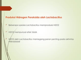 Produksi Hidrogen Peroksida oleh Lactobacillus
 Beberapa spesies Lactobacillus memproduksi H2O2
 H2O2 mempunyai efek toksik
 H2O2 oleh Lactobacillus memegang peran penting pada aktivitas
mikrobisidal
 