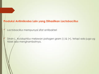 Produksi Antimikroba Lain yang Dihasilkan Lactobacillus
 Lactobacillus mempunyai sifat antibakteri
 Strain L. Acidophilus melawan patogen gram (-) & (+), tetapi ada juga yg
tidak bisa menghambatnya.
 
