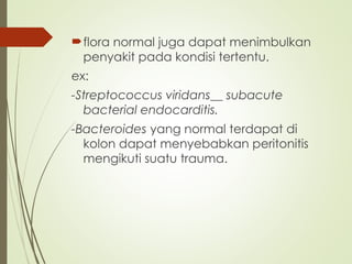flora normal juga dapat menimbulkan
penyakit pada kondisi tertentu.
ex:
-Streptococcus viridans__ subacute
bacterial endocarditis.
-Bacteroides yang normal terdapat di
kolon dapat menyebabkan peritonitis
mengikuti suatu trauma.
 