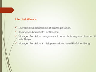 Interaksi Mikroba
 Lactobacillus menghambat bakteri patogen.
 Komponen beraktivitas antibakteri
 Hidrogen Peroksida menghambat pertumbuhan gonokokus dan HI
sebaliknya
 Hidrogen Peroksida + mieloperoksidase memiliki efek antifungi
 