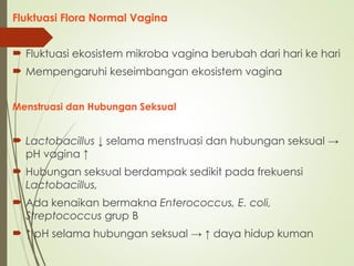 Fluktuasi Flora Normal Vagina
 Fluktuasi ekosistem mikroba vagina berubah dari hari ke hari
 Mempengaruhi keseimbangan ekosistem vagina
Menstruasi dan Hubungan Seksual
 Lactobacillus ↓ selama menstruasi dan hubungan seksual →
pH vagina ↑
 Hubungan seksual berdampak sedikit pada frekuensi
Lactobacillus,
 Ada kenaikan bermakna Enterococcus, E. coli,
Streptococcus grup B
 ↑ pH selama hubungan seksual → ↑ daya hidup kuman
 